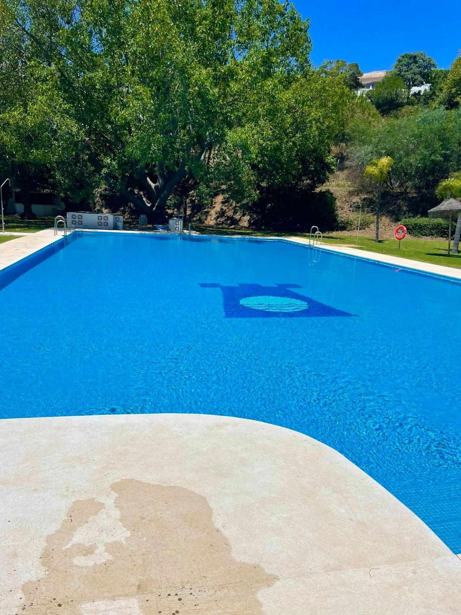 La Villa Escondida 1 Precioso Estudio Vista Al Mar Málaga Buitenkant foto